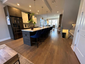 Modern SFH Near McCormick Place & Soldier Field